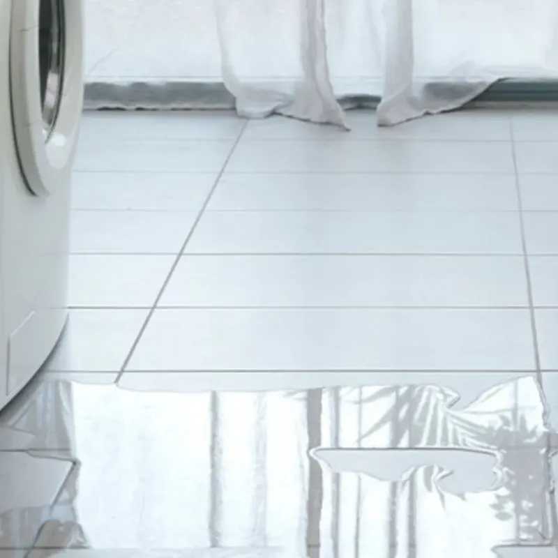 Appliance Leak Cleanup in Delray Beach, FL
